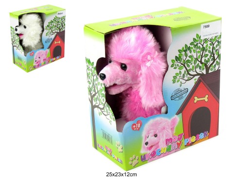 PIESEK PUDEL NA KABEL G16273/76 7500