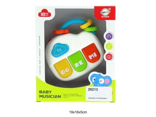 ORGANKI Z DŹWIĘKAMI I ŚWIATŁAMI 20213