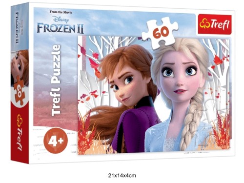 PUZZLE 60 ZACZAROWANY ŚWIAT ANNY I ELZY 40137