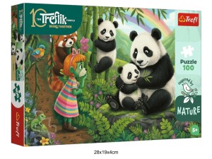 PUZZLE 100 INSPIRED BY NATURE PANDY 41231