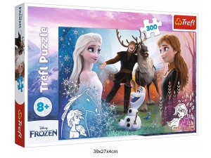 PUZZLE 300 MAGICZNY CZAS 40498